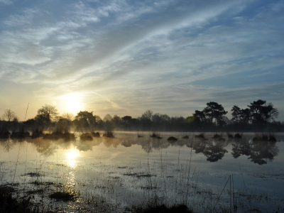 Sinds kort ben ik begonnen met landschapsfotografie. Het blijkt toch behoorlijk lastig te zijn om een aantrekkelijke landschapsfoto te maken. Hier heb ik een poging gedaan op de strijbeekse heide.