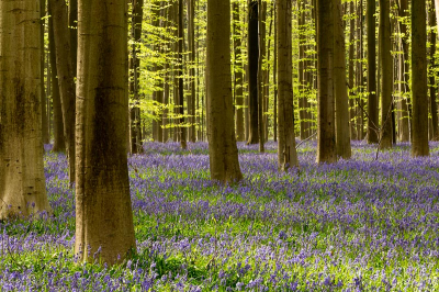 Bij aankomst bewolkt later komt de zon er af en toe bij .
Gemaakt van af statief .