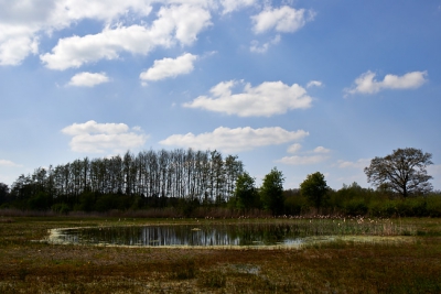 Wolken, zon en veel wind. Goede voorwaarden voor landschapsopnamen en natuurgebied Hagenbeek is daar een geschikte plaats voor.