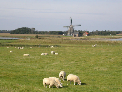 <i class='fa fa-user'></i> Paul Cools | Texel  <i class='fa fa-eye'> 495</i>   <i class='fa fa-comment-o'> 4</i>