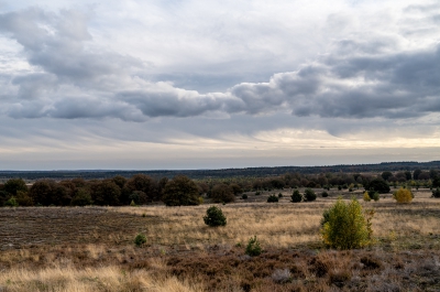 Mooi weer. Wolken en zon wisselen elkaar af. Het landschap verandert dan ook voortdurend van kleur.