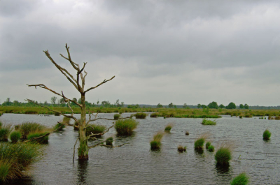 <i class='fa fa-user'></i> Gert Paassen | Nationaalpark Dwingerlerveld  <i class='fa fa-eye'> 338</i>   <i class='fa fa-comment-o'> 0</i>