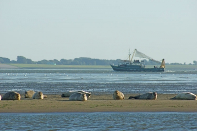 een zeehonden tocht bij den over gemaakt,een prachtige ervaring,en heel mooi weer voor een boottocht!