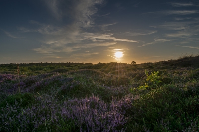 's Avonds onderweg van Kroons' polders naar de camping Lange Paal een tussenstop gemaakt bij Halfweg. Gefotografeerd vanaf statief met draadloze ontspanner.