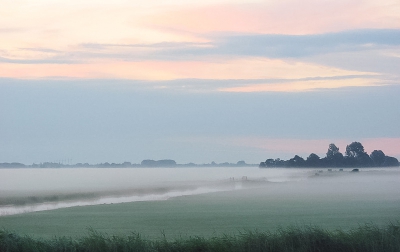 de witte wieven,dat is eigenlijk de sprookjes naam voor de mist,die als een laken het veld bedekt,en de sfeer in het veld sprookjes achtig maakt!