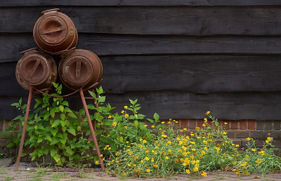 De ideale omstandigheden voor dit kruidsoort. Op schrale grond tussen scheuren en kieren van de tegels. De bloemen ogen vrolijk, maar de plant is uiterst giftig.