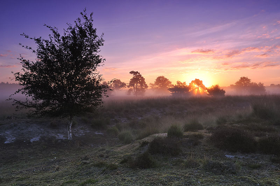 Ik heb deze zonsopgang vast gelegd in natuurgebied de Pan toen de zon net aan het opkomen was.