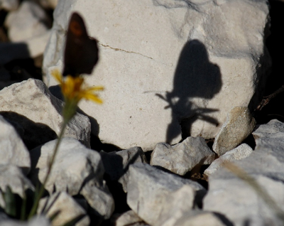 tijdens een forse bergwandeling op de Monte Baldo kwam ik dit tweeluik tegen, waarbij ik dit keer eens heb scherpgesteld op de schaduw. Ik ben benieuwd wat jullie ervan vinden.