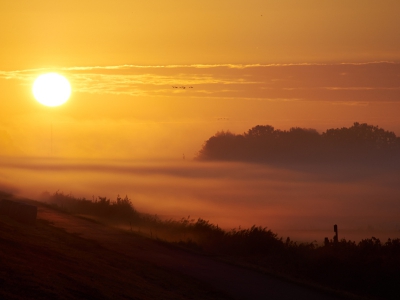 Vroeg in de morgen met de opkomende zon gecombineerd met de grondmist. Door de snel stijgende zon veranderde het landschap continue.