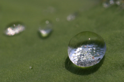 <i class='fa fa-user'></i> Herman Berkhoudt | Zomers water  <i class='fa fa-eye'> 200</i>   <i class='fa fa-comment-o'> 15</i>