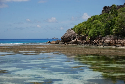 Tijdens de vakantie deze foto geschoten op een van de eilanden van de Seychellen.