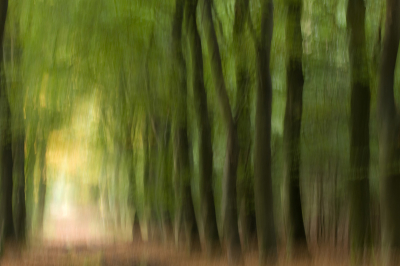 Geinspireerd door een aantal foto's op Nederpix ben ik gisteren ook aan het expirimenteren geslagen. Ik ben benieuwd naar jullie mening.
