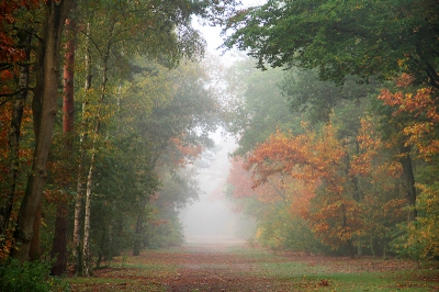 tijdens de wandeling plaatselijk wat mistig en dat geprobeerd vast te leggen