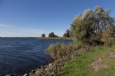 Enkele weken geleden met de vrouw op pad geweest rond de Noorderplassen. Zij met een macrolens, ik met een zoomlens. Het was een stralende namiddag met strakke kleuren. Deze foto is genomen vanaf Lepelaarpad/Zeeroverseiland richting Lepelaarplassen.