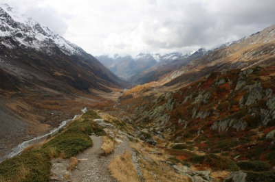 Vanaf de Morene van de Langgletscher gemaakt. In de verte in het dal de gele larixbossen.