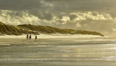 Schaduw, zon en buien wisselden elkaar af in rap tempo. Hier streek het licht mooi langs de duinen.