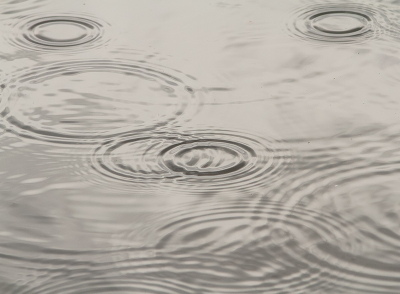 REGENRIMPELS
Sinds een kleine twee jaar woon ik in de polder aan het water en ik moet zeggen dat water je beleving van de seizoenen enorm versterkt. Gisteren heb ik gefascineerd staan kijken hoe wind en regen allerlei patronen in het wateroppervlak schetsen.