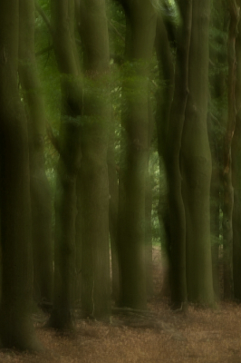 In een gekke bui ook eens wat met de camera bewogen om eens een ander soort beeld te creren. Meestal is dit niet mijn ding en hou ik meer van realistische beelden. Tussen alle probeersels vond ik deze echter zelf wel geslaagd.