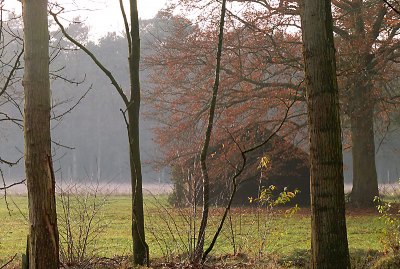 Een schuilhutje om in te schuilen natuurlijk, maar ook om in na te denken en te discussiren over het te volgen pad.