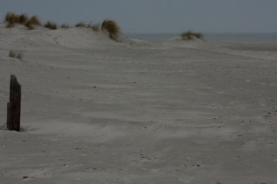 Geen zon, geen regen, winderig en grauw weer. Kortom niet het meest ideale weer, zou je zeggen. 
Maar ook dan laat de foto de wijdsheid va dit strand zien.