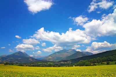 Als je aan Franrijk denkt, dan zie de zonnebloemvelden en mooie blauwe luchten voor je. Als je op de achtergrond dan ook nog eens de bergen ziet verrijzen van een gebied waarvan je al maanden hoopt daar heen te gaan, dan kan er een foto als deze uit je camera rollen.