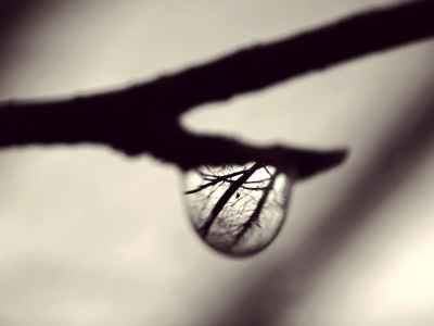 Een "lucky" shot als ik eerlijk ben. Ik zag deze druppel hangen na een regenbui en maakte, de kamer boven mijn hoofd houdend, een foto. Dit was het resultaat.