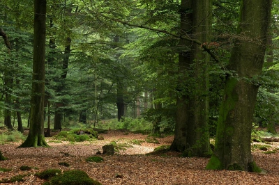 Op verzoek ook de foto met polarisatiefilter hier geplaatst