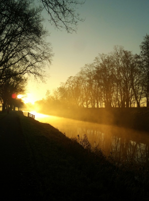 bij deze mijn eerste foto. s'morgens op de fiets naar school  zie ik vaak mooie dingen die ik dan op de foto zet of waar ik gewoon even van geniet. aangezien ik dan geen camera heb maak ik foto's met de telefoon en dat is hier aardig gelukt denk ik. al was met de camera misschien mooier geweest.