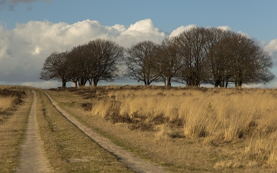 vanaf de parkeerplek wel een flink end sloffen; ik kende de plek maar was er steeds met de fiets langs gereden. Vanaf statief met polarisatiefilter