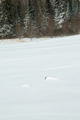 Hier nog een foto van de stoel.
Na de storm van vrijdag die een dikke 20 cm sneeuw heeft achtergelaten.
Dit is vijf dagen na de foto hiernaast.