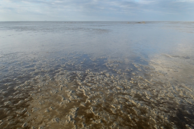 Liggende foto om te vergelijken met de staande versie in het landschap album.