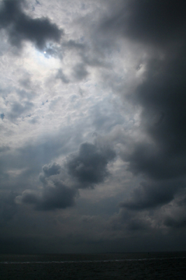 Mooi die wolken boven de Waddenzee, maar als daar vervolgens een bui uit valt is dat minder. Gelukkig bleef het bij deze ene bui en hebben we verder mooi weer gehad tijdens de tocht met de robben- en garnalenboot.