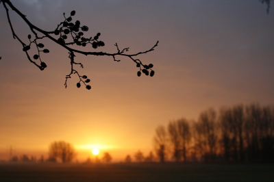 Nog net even voor schooltijd dit natuurspektakel gekiekt.