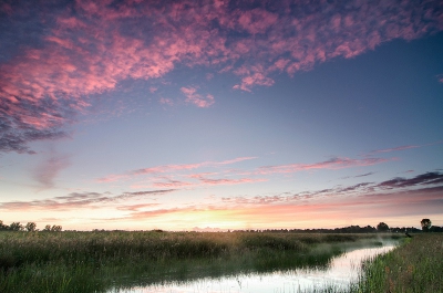 Lekker door een weiland struinen en dan een zo'n sloot tegenkomen. Heerlijk.
