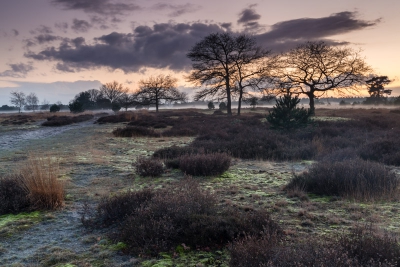 Zonder het te weten ligt er binnen op redelijke afstand van mijn woonplaats een erg fraai klein heideveld. Om dit te verkennen voor landschapsfoto's ben ik er een paar keer naar toe geweest. Deze is tijdens de zonsondergang genomen.