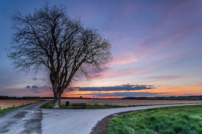 Een mooie kale boom, een kruisje met kaarsjes en een mooie zonsondergang!