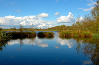 <i class='fa fa-user'></i> SjoMa | Natuurreservaat "De Groote Peel"  <i class='fa fa-eye'> 402</i>   <i class='fa fa-comment-o'> 5</i>