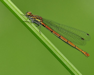 een opname die bij vrij zonnig weer is gemaakt 
en heb er een statief bij gebruikt