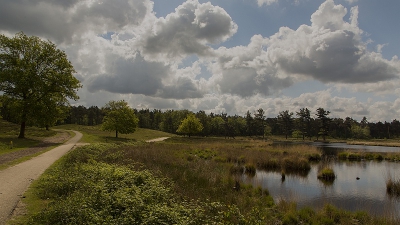 Er was nogal fel zonlicht, met gelukkig wel wat wolkjes erbij. Uit de hand gefotografeerd.