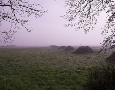 vroeg in de ochtend de groene velden in de buurt  van het meer ziet er geweldig uit