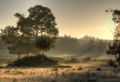 's ochtends vroeg, (05.23u) net na zonsopkomst: een sprookjesachtig landschap met dauw en nevel aan de grond.