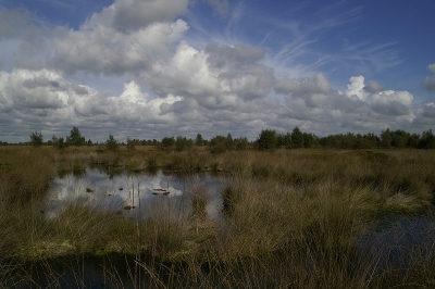 <i class='fa fa-user'></i> Tom | Engbertsdijksvenen  <i class='fa fa-eye'> 297</i>   <i class='fa fa-comment-o'> 3</i>