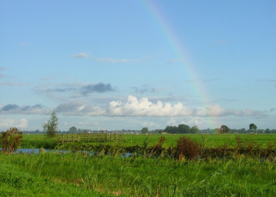 <i class='fa fa-user'></i> Aad Verkuijl | Alblasserwaard  <i class='fa fa-eye'> 290</i>   <i class='fa fa-comment-o'> 0</i>