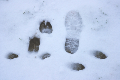 <i class='fa fa-user'></i>&nbsp;Rudi Debruyne&nbsp;| Mens&nbsp; <i class='fa fa-eye'>&nbsp;222</i> &nbsp; <i class='fa fa-comment-o'>&nbsp;2</i>