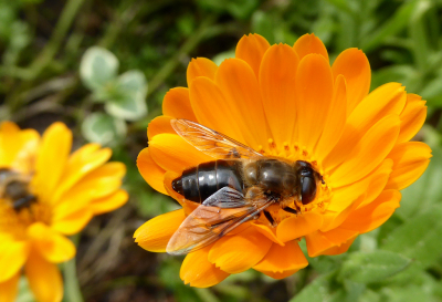 Rond 11.45 uur genomen tijdens een half zonnige dag.