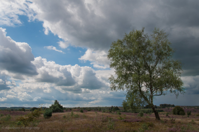 Aan het eind van de workshop begon het weer om te slaan. Dit beeld geeft daar een aardige indruk van.