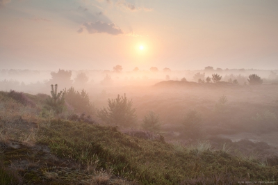 Deze foto is gemaakt in Drents-Friese Wold, met filters Lee GND 0.9 + 0.6 soft