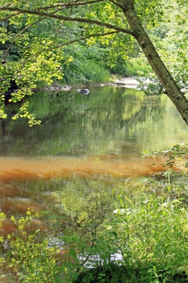 Het licht en de weerspiegeling van de bomen in de Petite Creuse was onvergetelijk. Geen wonder dat dit ook een geliefde plek van de impressionistische schilder Claude Monet was.