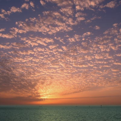 Om de grens duidelijk te maken heb ik twee versies gemaakt, een rode en een groene. Vervolgens heb ik die knip en plak-aktie nog eens met deze high-res foto's uitgevoerd. De oorspronkelijke overgangszone was 40 pixels. Daarna het hele beeld verkleind en geup-load.