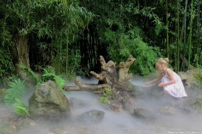 Per toeval kwamen we dit afgelegen hoekje tegen, midden in Blijdorp. Dochtertje vond die mist prachtig en ging even dichterbij kijken. Ik was uiteraard meteen alert met het maken van wat foto's.
Pas thuis op mijn computer zag ik dat deze foto er ERG mooi uit zag, al zeg ik het zelf.